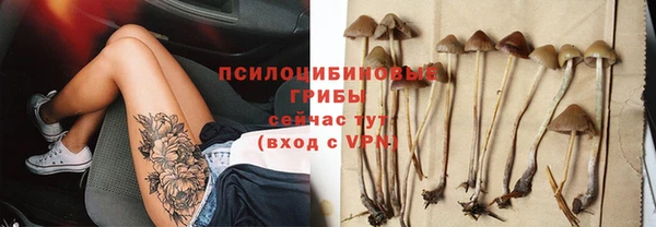 apvp Аркадак