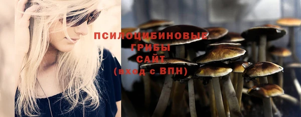 хмурый Армянск
