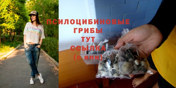 хмурый Армянск