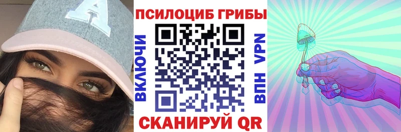 Псилоцибиновые грибы Psilocybe  shop состав  Белово  сколько стоит 
